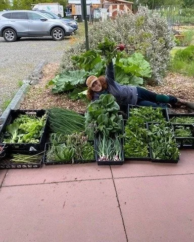 37,000 Pounds of Purpose!
🍎🍐🥬🧅🍅
Discover how volunteers, students, and backyard growers are producing tens of thousands of pounds of food each year for our community!

Check out our Nov/Dec Beans for Bags recipient The Food Bank Growers!
Link in