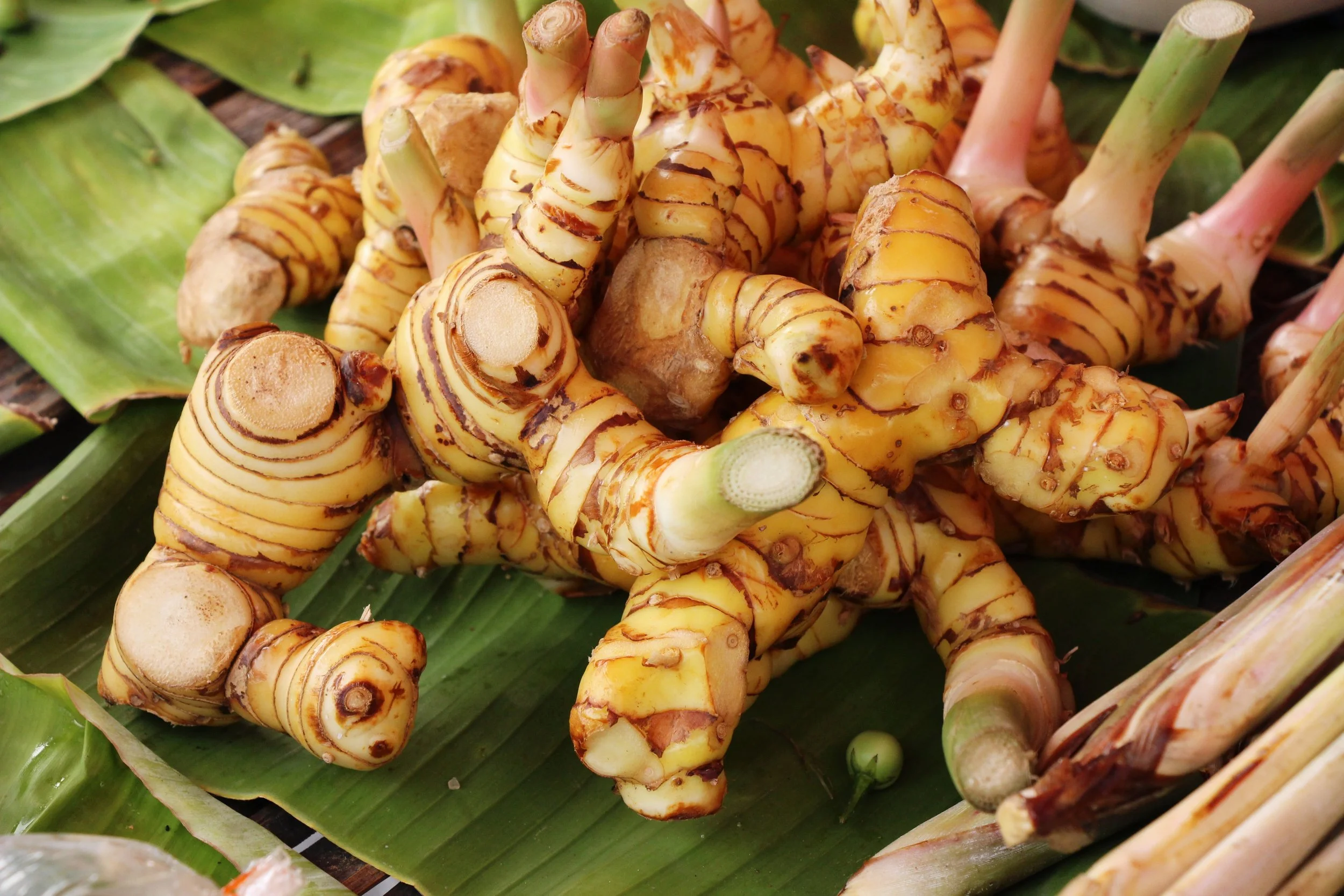 Ginger, Turmeric, and Galangal: Building Cozy at Home