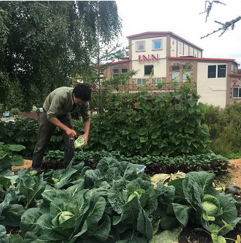 Screenshot-Bayside Housing-gardens1.png