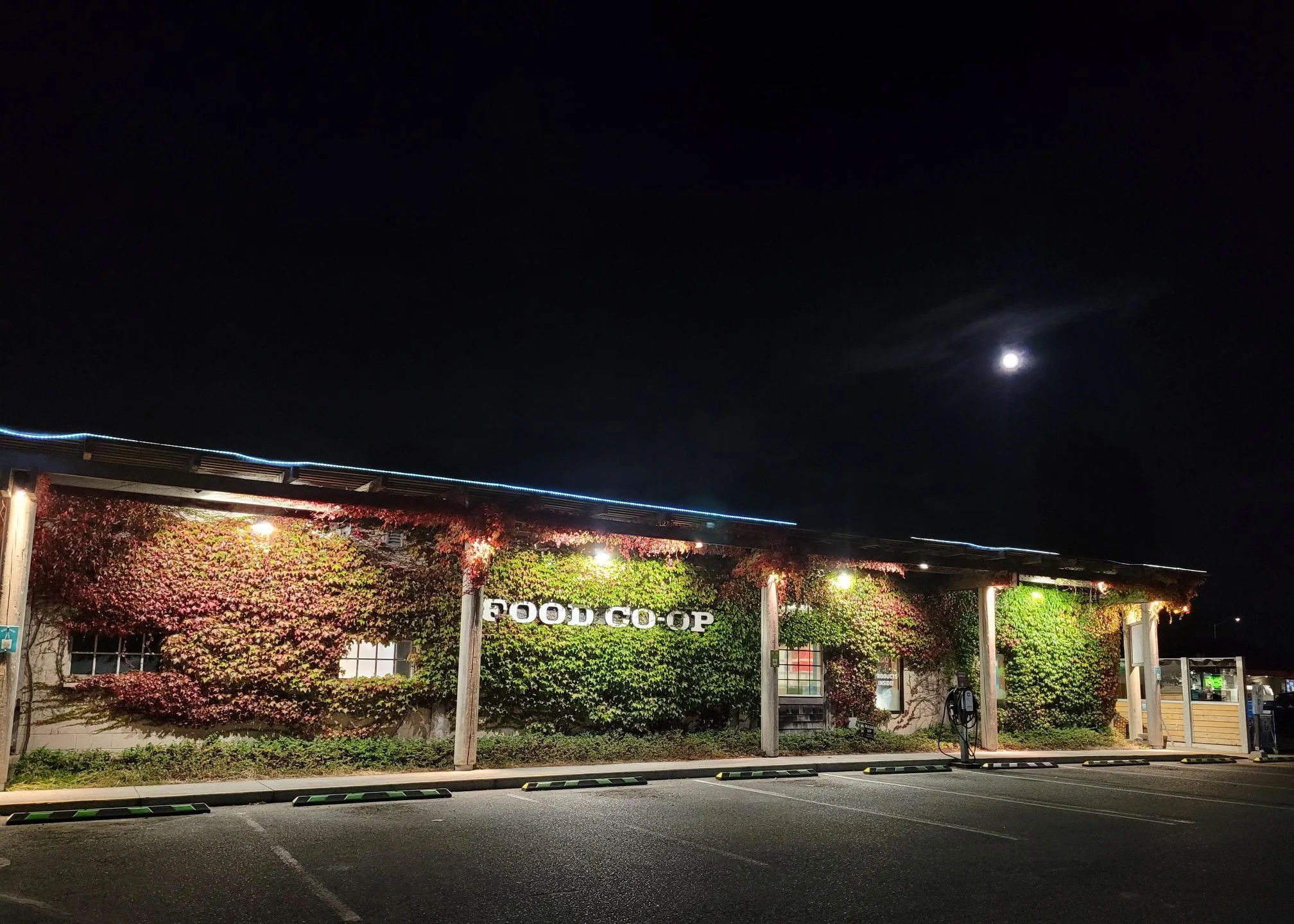 Greetings from the GM Selection Committee of the Co-op Board!