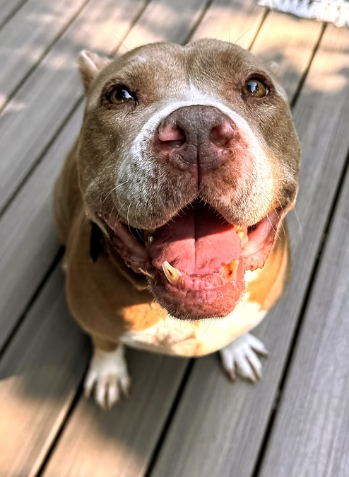 Because Growing Old Deserves Growing Love