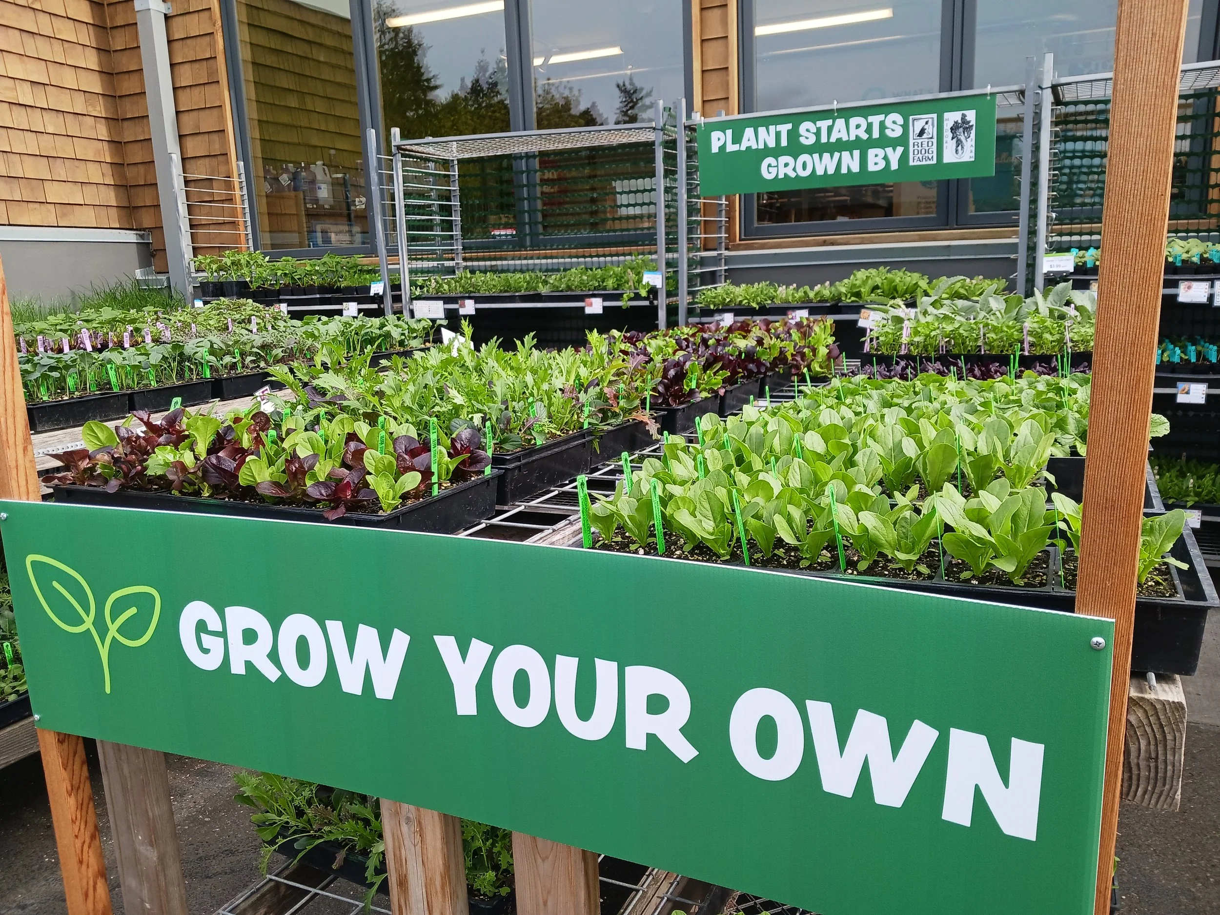 Plant Starts 2026 5 Grow Your Own.jpg