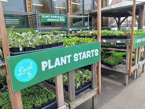 An Update From The Board