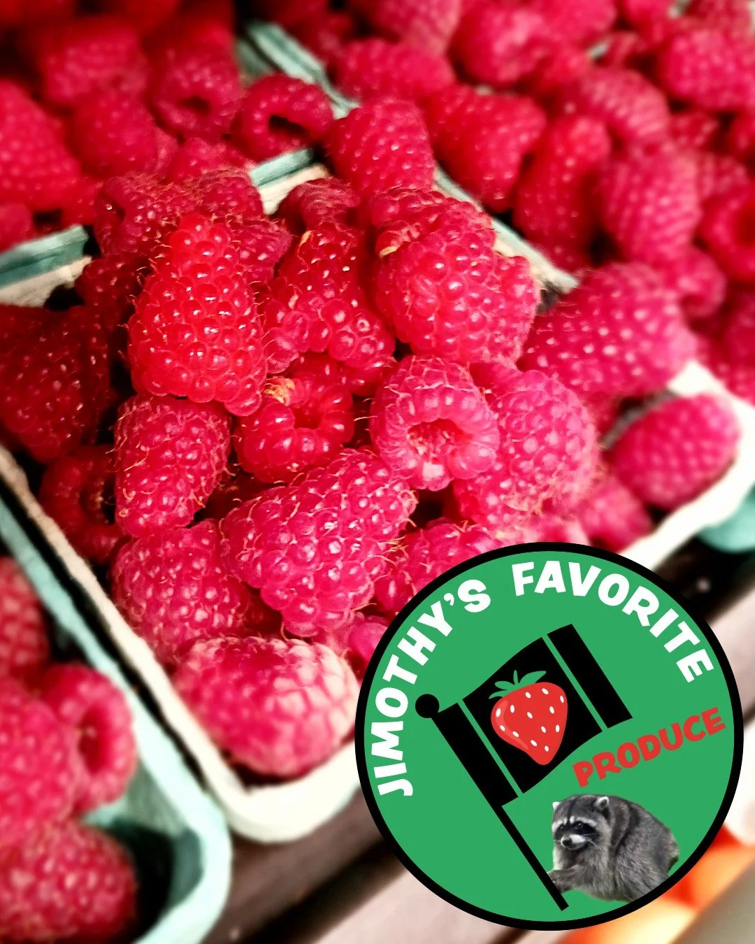 Jimothy&rsquo;s Favorite Produce!
🦝🫐🥦🥒🍅🦝

1. Local Raspberries from @silvafamilyfarm 
2. Local Blueberries from @stellarjfarmchimacum 
3. Local Kohlrabi from @stellarjfarmchimacum 
4. Red Grapes
5. Local Broccoli from @dharmaridgefarm 
6. TOMAT