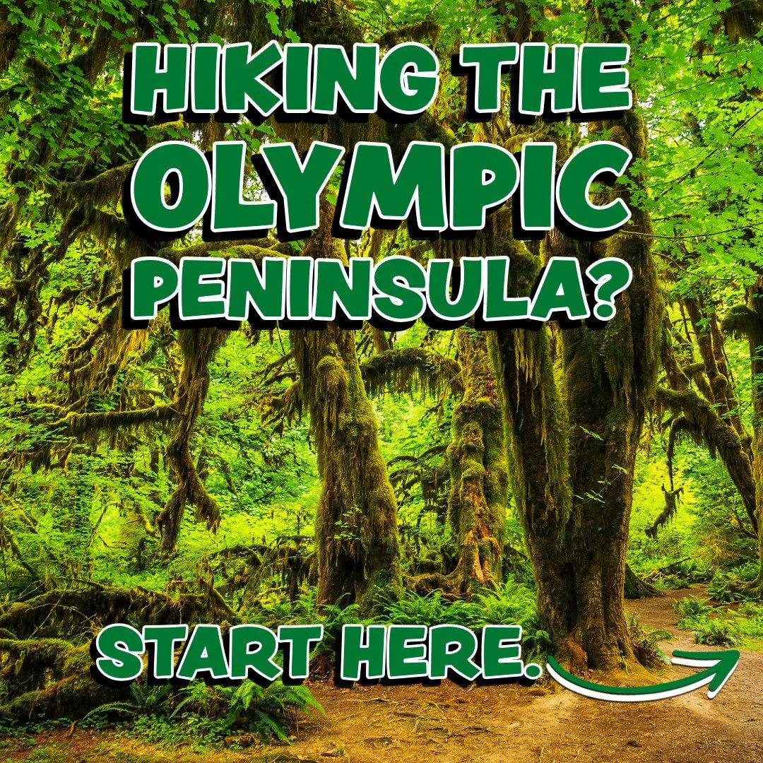 Planning a hike on the Olympic Peninsula this week? 🥾🌲

Here's what to grab at The Food Co-op before you hit the trail:

🍌 Bananas &mdash; still the GOAT
🥜 Energy Bites for fuel that&rsquo;s functional
🧃 Electrolytes to help keep you hydrated an