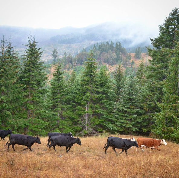 Dement Ranch, Powers OR