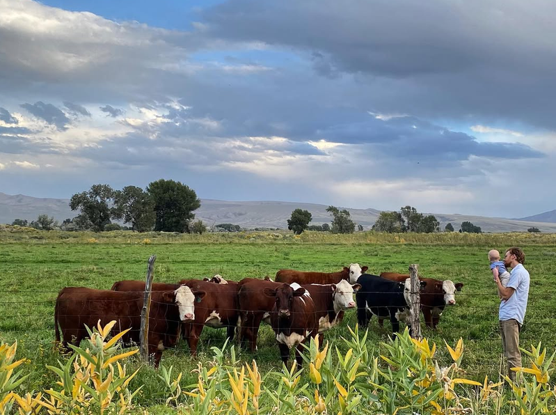 Pratt Family Beef, Southeast ID