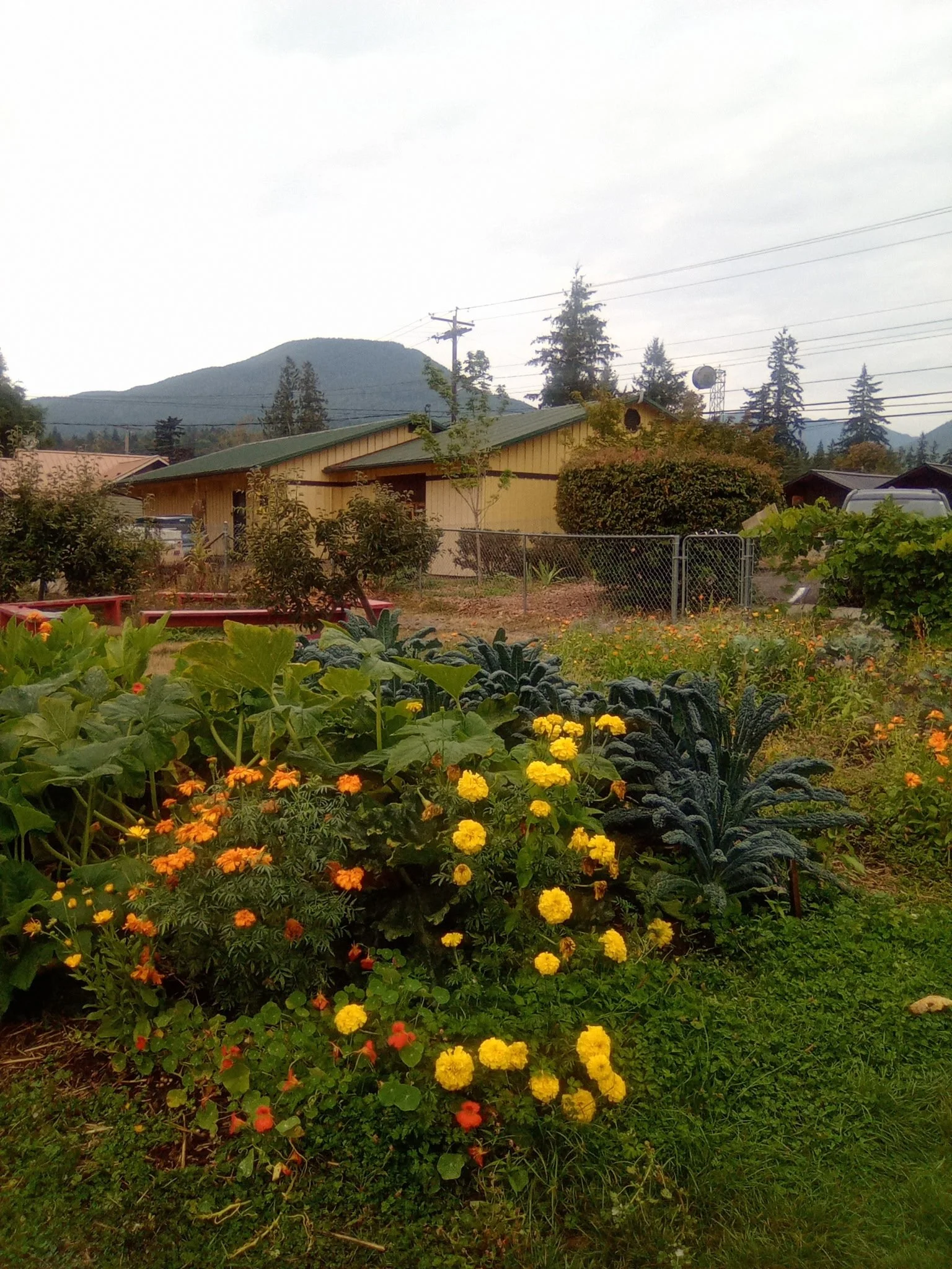CWP-garden flowers.jpeg