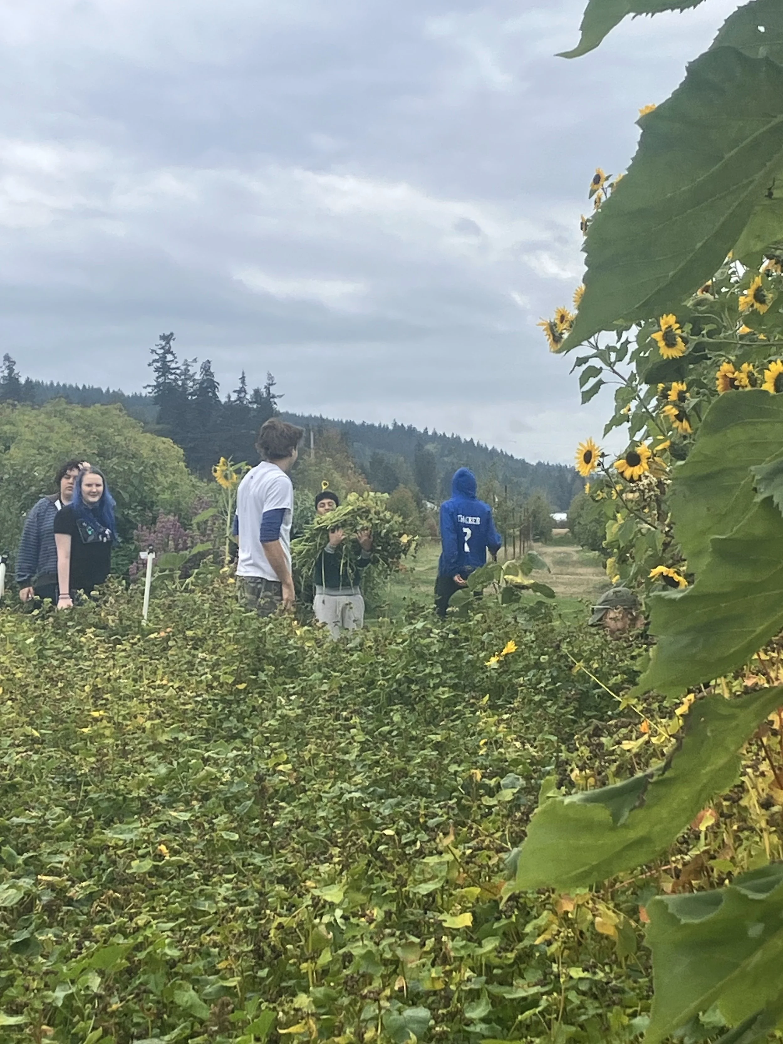 CWP-students in garden tending beds.jpeg