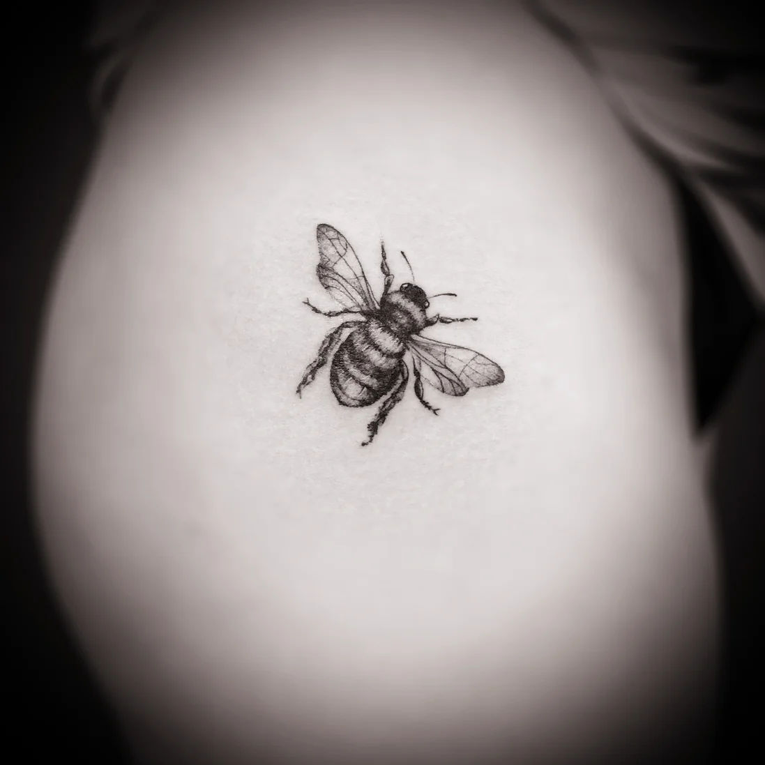 bee_hip.jpg