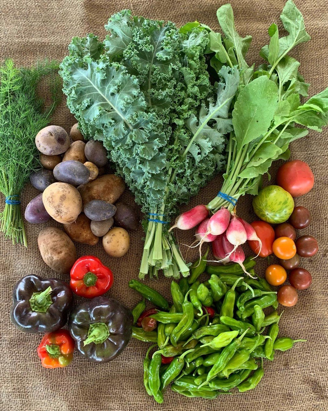 Many of the local farms that participate in the the Co-op Farm Tour sell their farm goods direct to consumers through CSA shares. Right now, these and other local farms are accepting CSA sign-ups, and many local cooperative grocery stores are pickup 