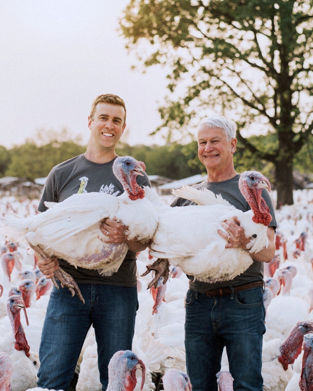 What turkey will you be gobble-gobbling for your holiday feasts, and why does it matter? 🤔 Not only are the free-range turkeys raised by @FerndaleMarket able to experience a better quality of life than conventionally raised birds, the quality of the