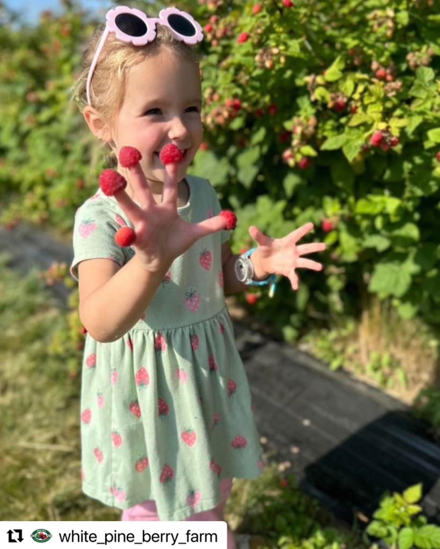 The official start of brisk fall weather may be just around the corner, but there is still some outdoor fun to be had! Make the most of it by heading out to @White_Pine_Berry_Farm this weekend for some family friendly fun at the farm. 🤩

Repost @whi
