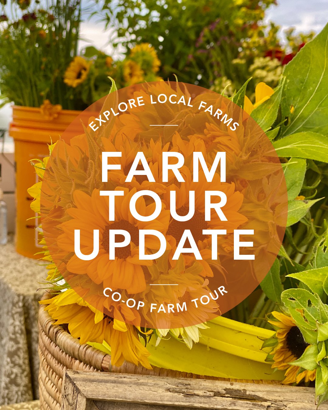 The Co-op Farm Tour has been a day of family-friendly fun and learning on the farm for more than a decade. This year, the Co-op Farm Tour is taking a hiatus for the sponsoring co-ops to reevaluate the format, timing, and frequency of the event. Altho