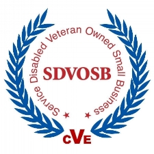 CVE SDVOSB Logo - BW.jpg