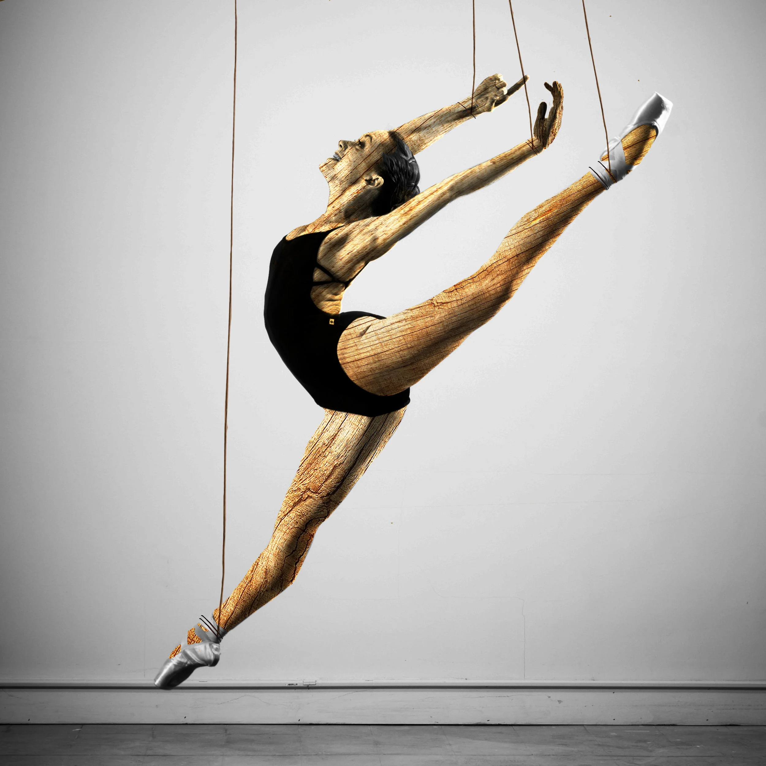 dancer wood.jpg