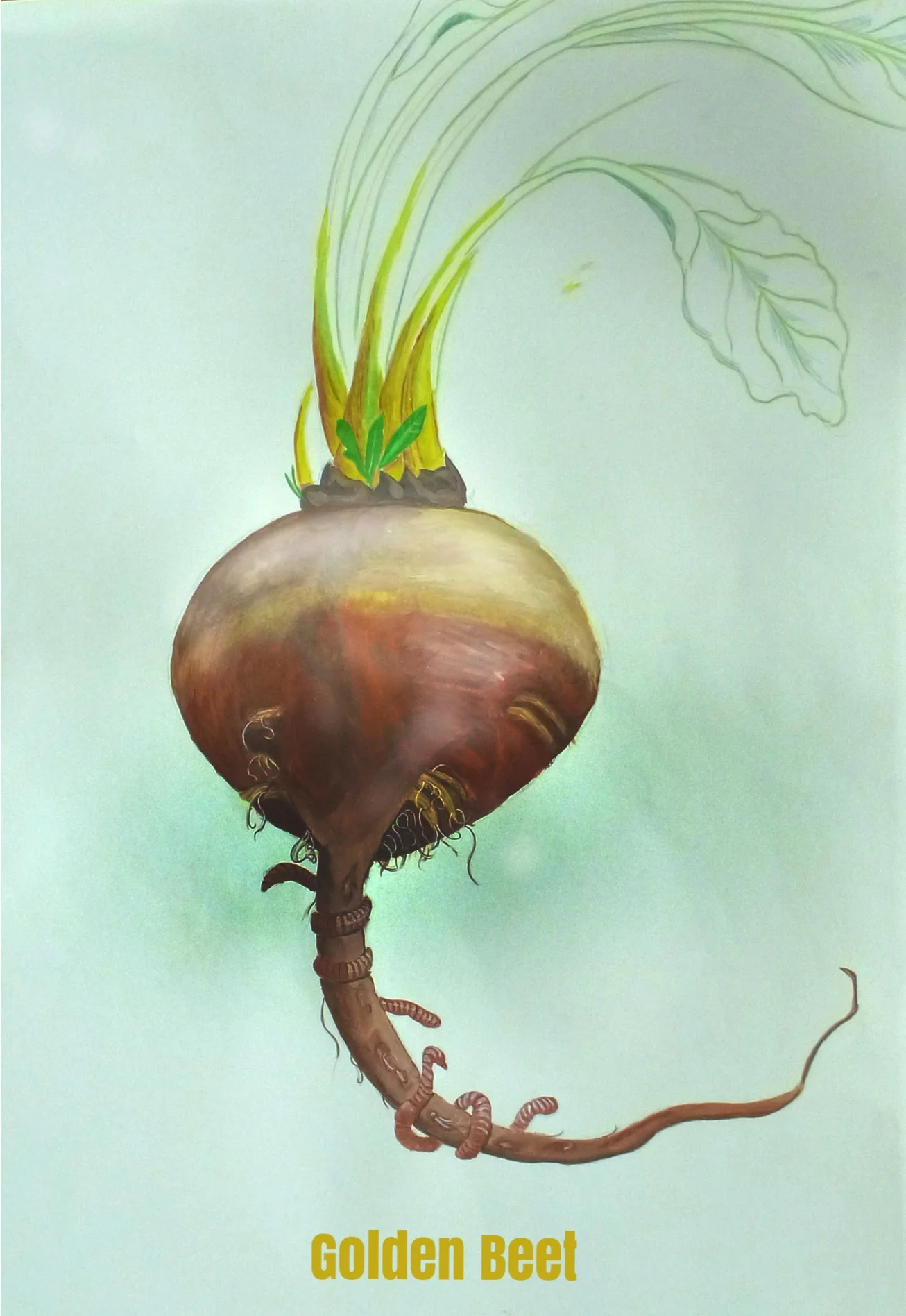 Golden-Beet.jpg