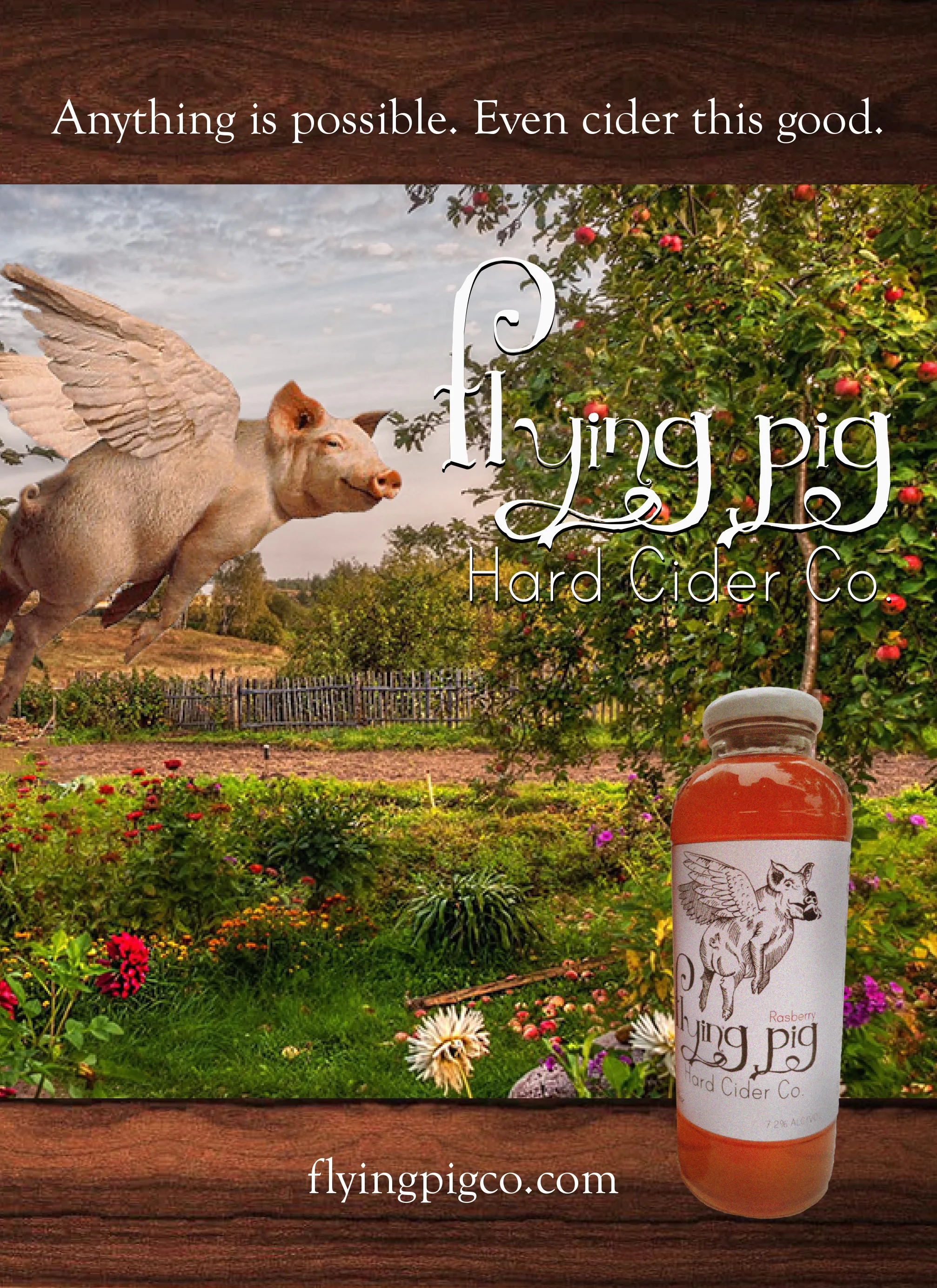 Flying pig Ad.jpg
