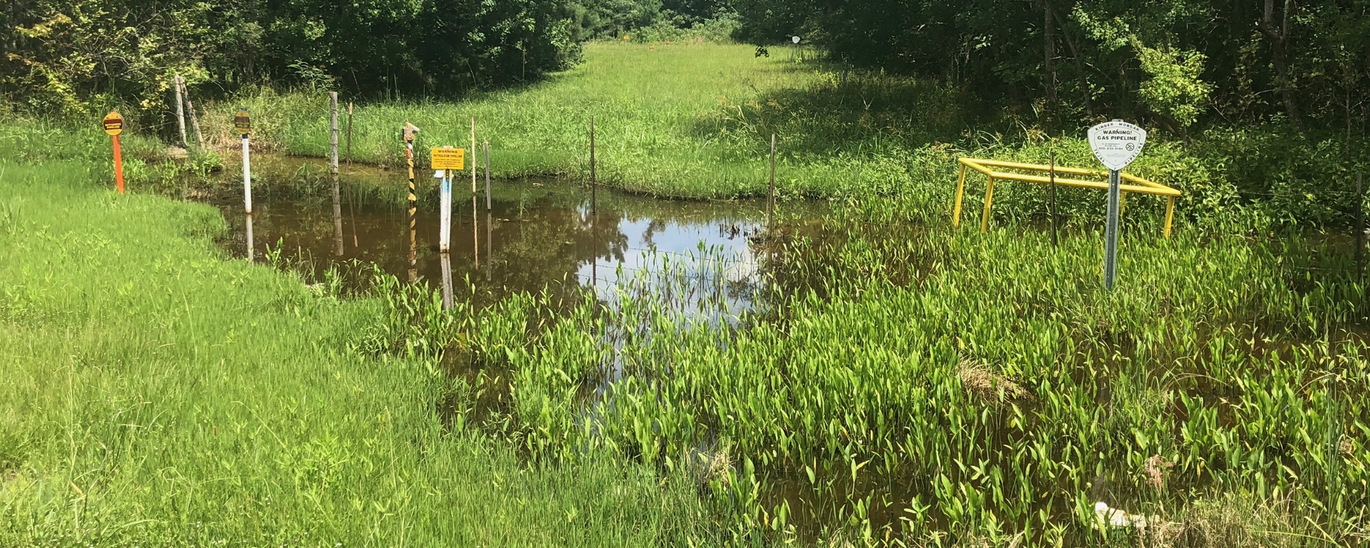 Pipeline Leaks