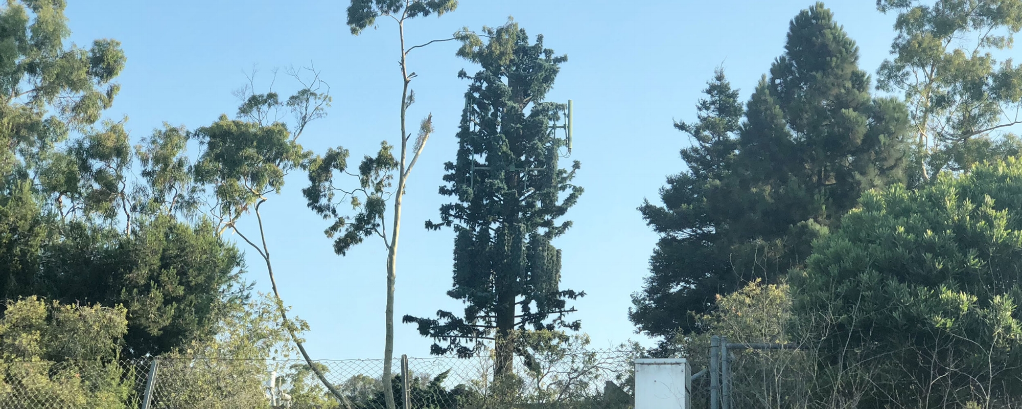 Cell Towers