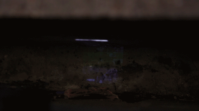 video_1.gif