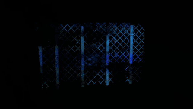 Video_3.gif