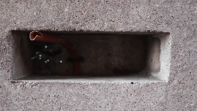 video_4.gif