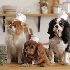 dogcooking.jpg