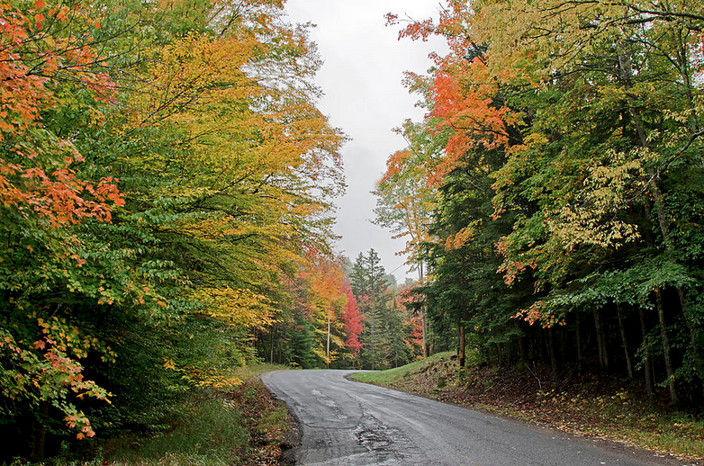 Country Road.png