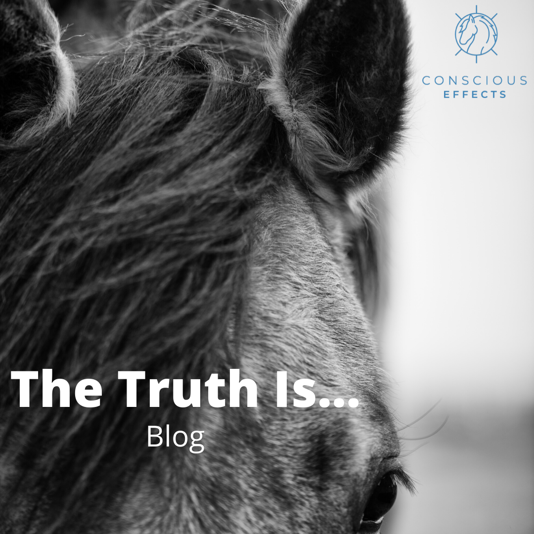 The Truth Is...
