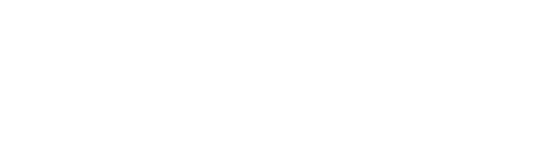 Conscious Effects