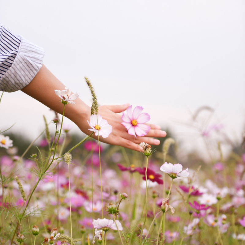 Hi is beautiful. Цветок на руку.. Рука с цветами. Нежные цветы в руках. Летние цветы в руках.