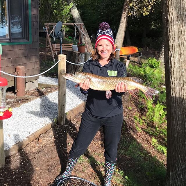 Just fishin&rsquo; around! #puremichigan #northernpike #lescheneauxislands