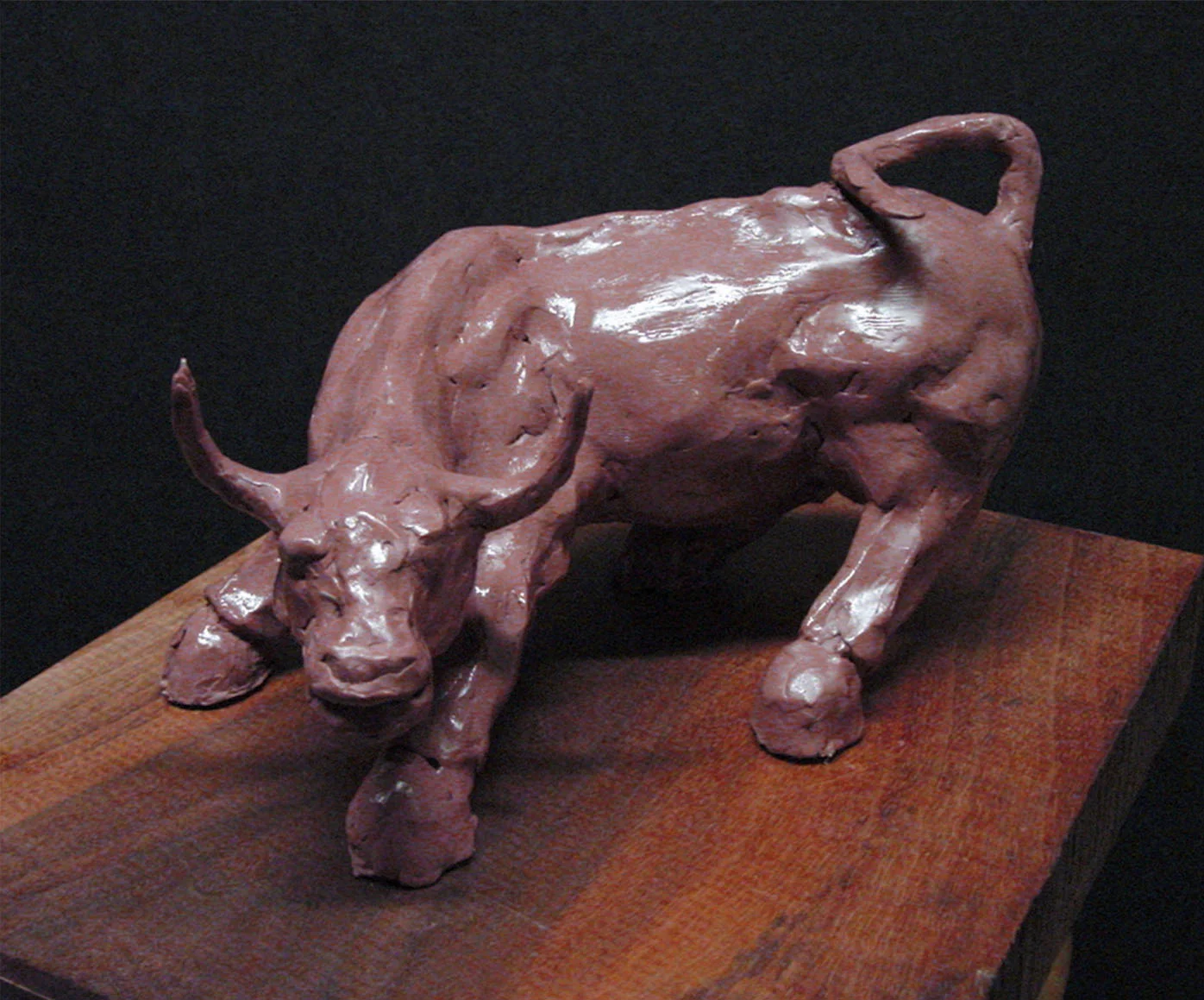 bull02.jpg
