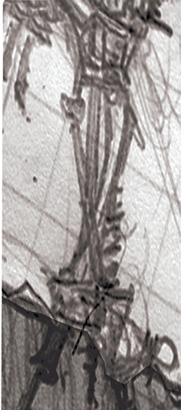 tb09.jpg