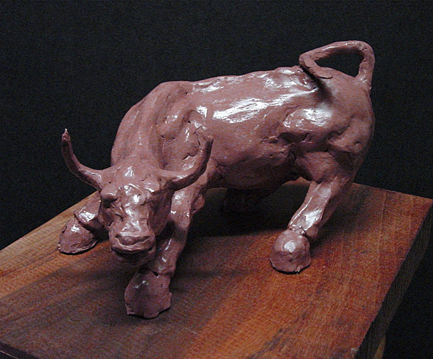 bull02.jpg