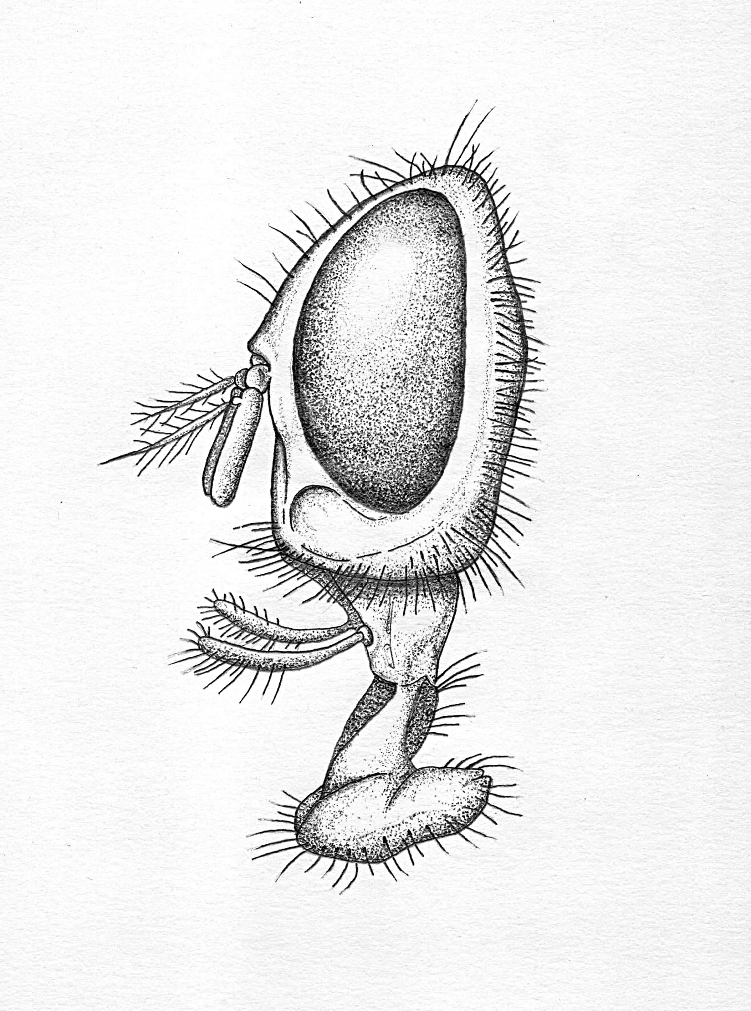 eye.jpg