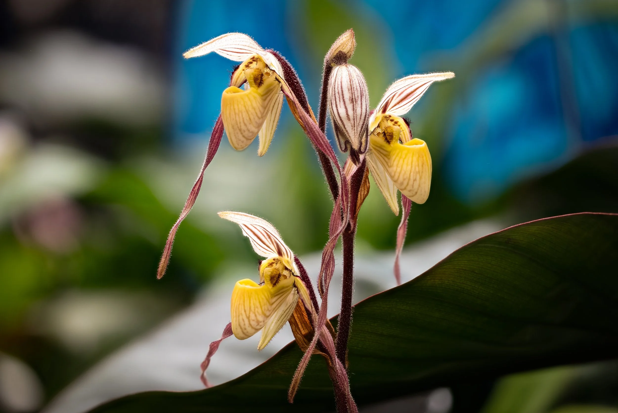 2024-01-30 15-26-02 (C,S6)-2.jpg