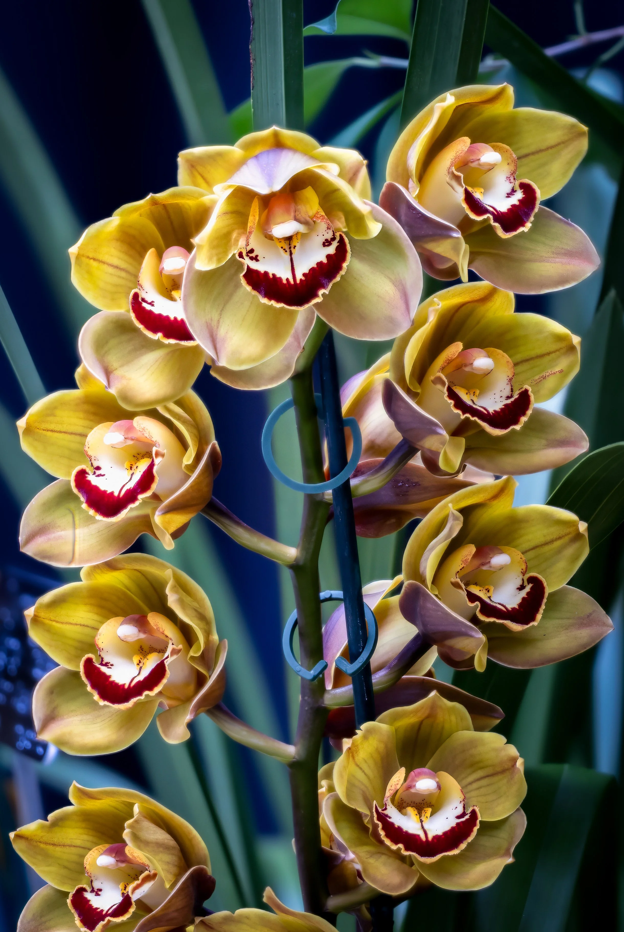 2024-01-30 14-58-59 (A,R27,S6)-2.jpg