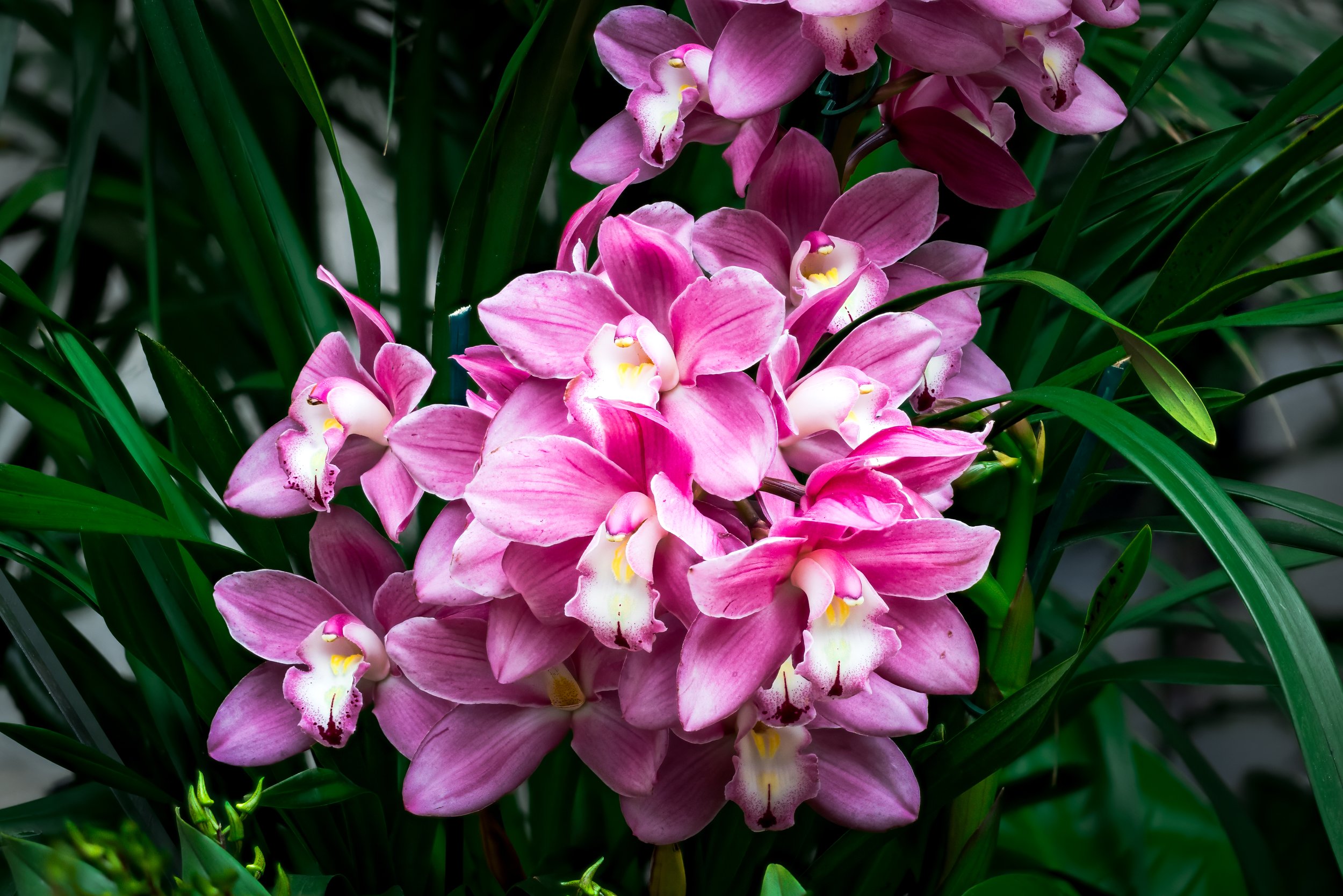 2024-01-30 14-49-34 (C,S6)-2.jpg