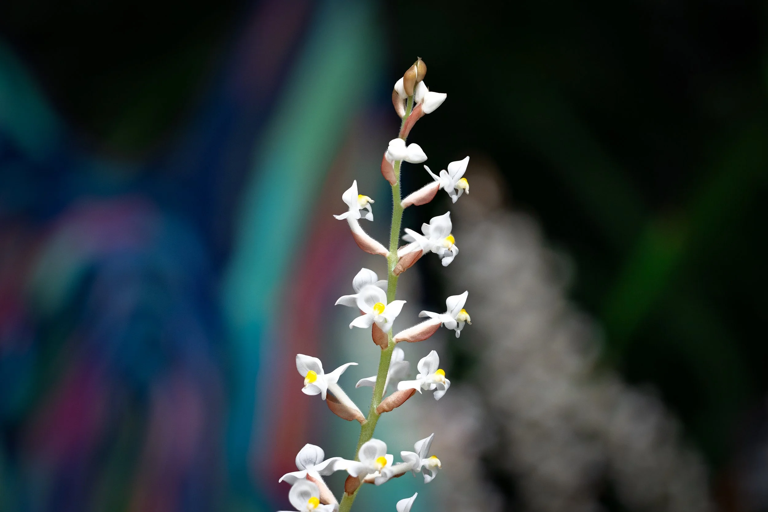 2024-01-28 10-59-20 (B,R27,S6).jpg