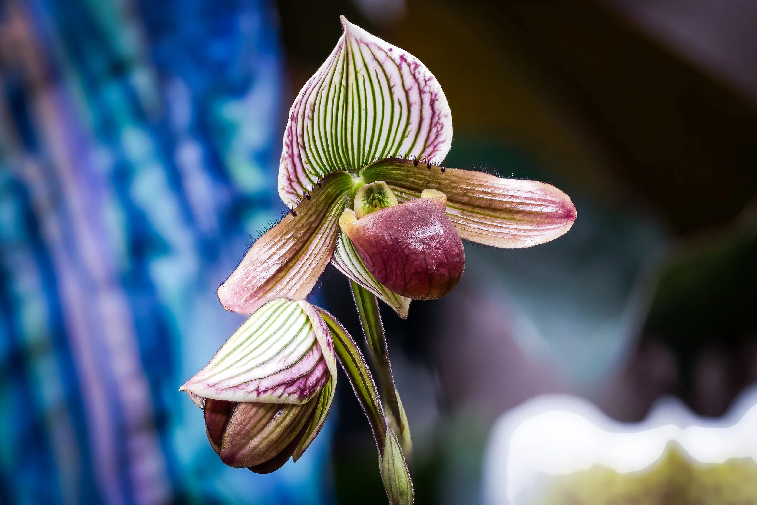 2024-01-30 15-13-54 (B,R27,S6)-2.jpg