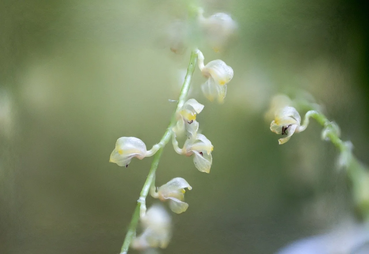 3I1A7518-Edit Large.jpeg