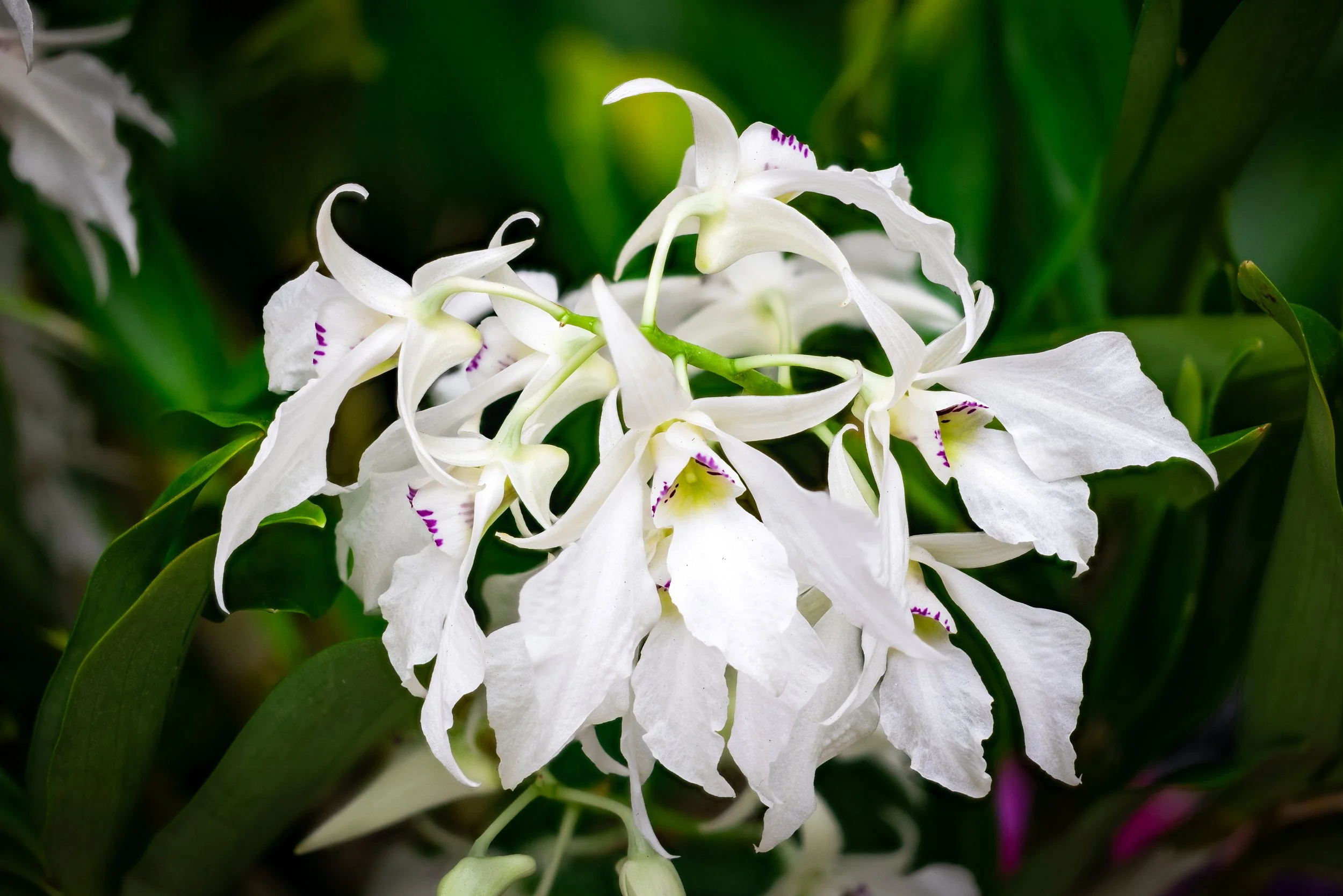 2024-01-30 14-51-16 (C,S6).jpg