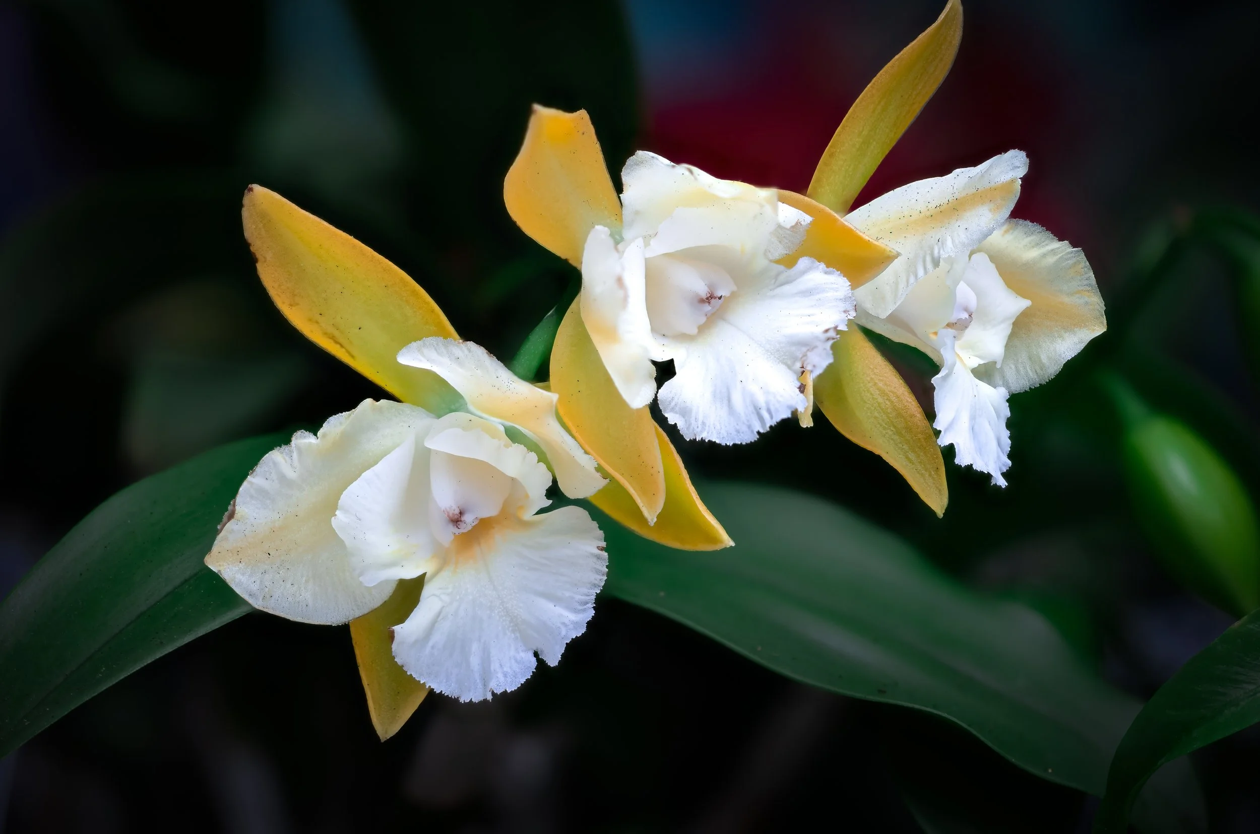 2024-01-30 15-09-35 (C,S6)-2.jpg