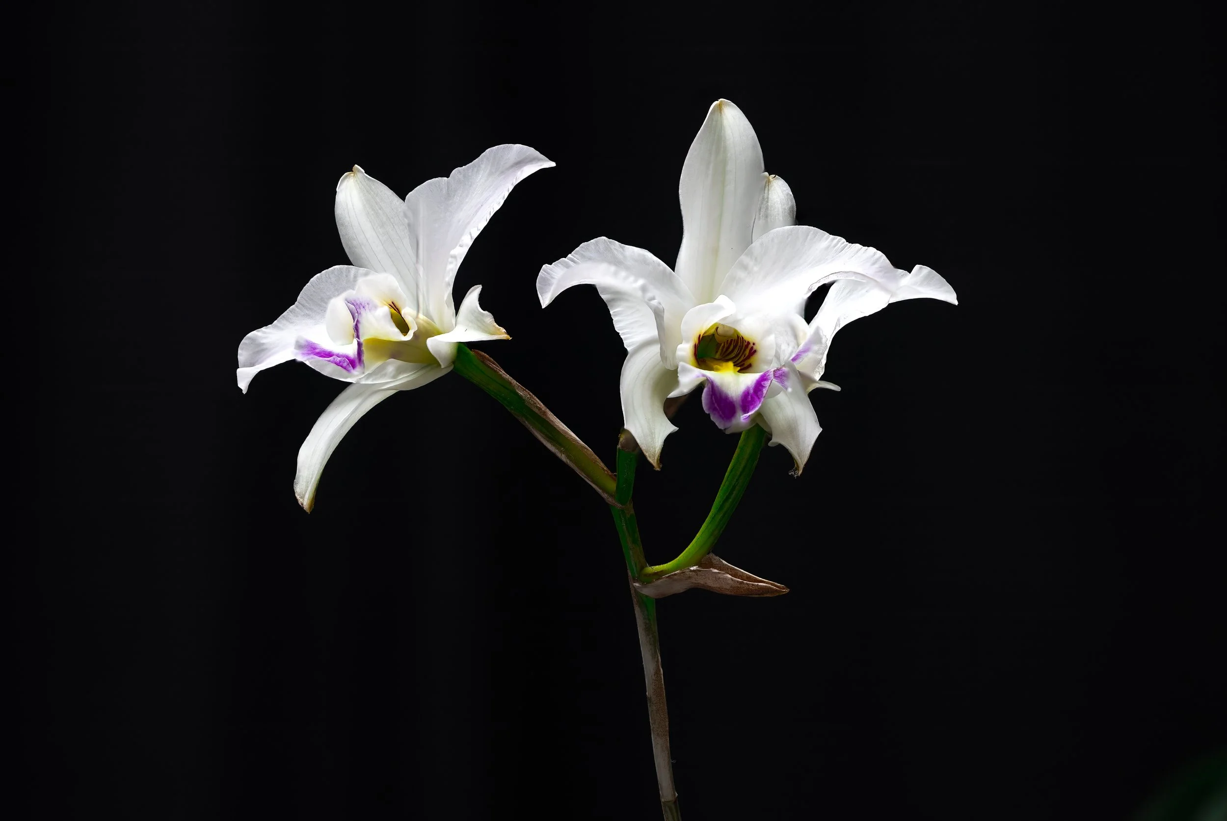 2024-01-28 10-58-09 (B,R27,S6)-2.jpg