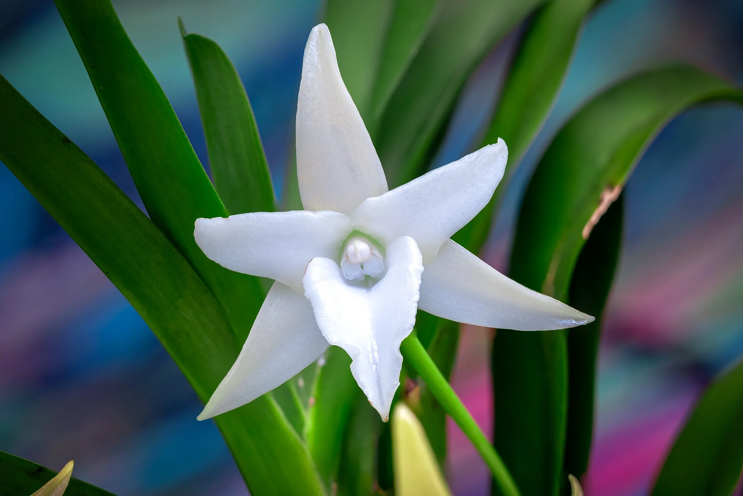 2024-01-30 15-01-39 (B,R27,S6)-2.jpg