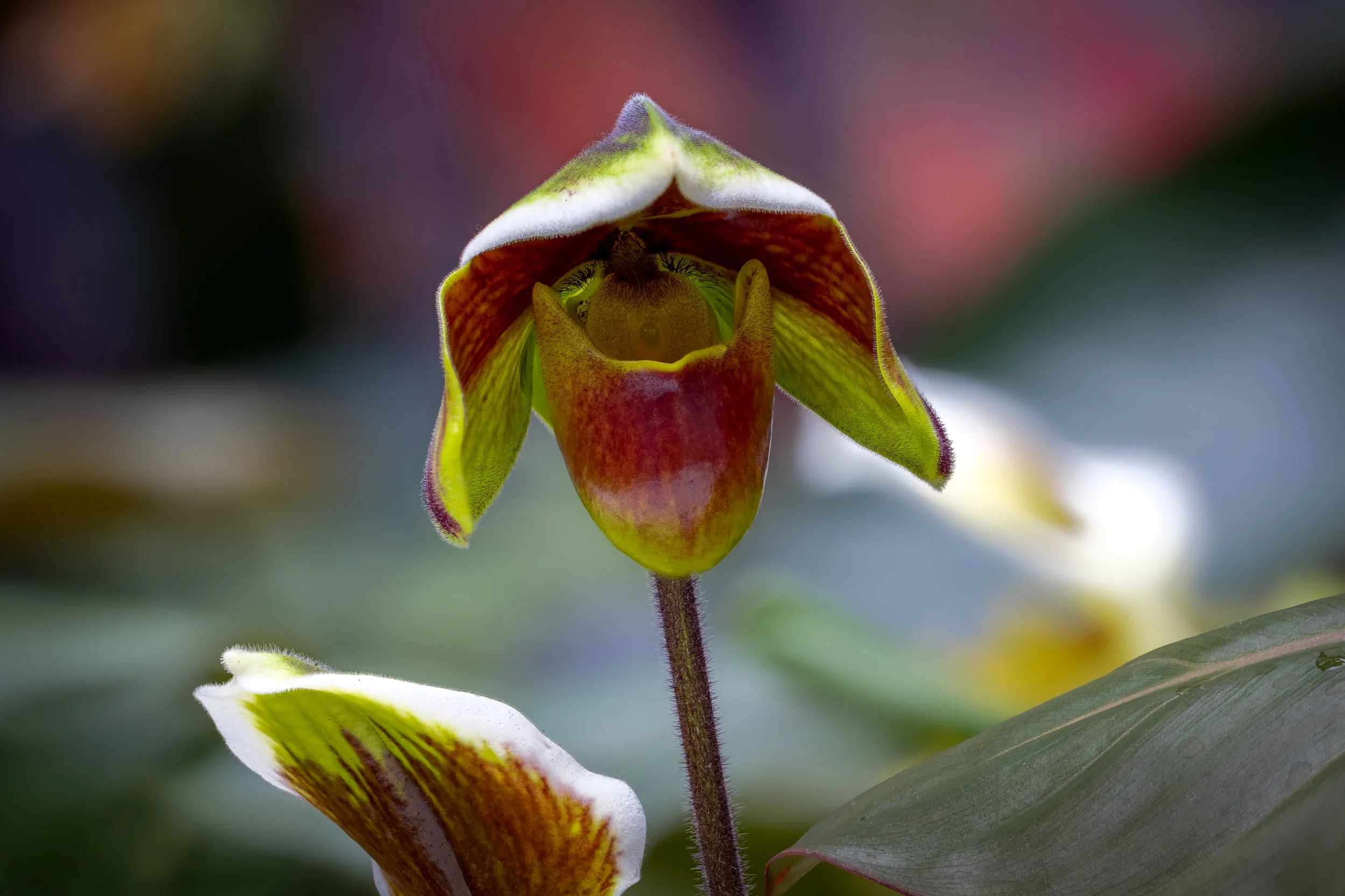 2024-01-28 10-42-21 (A,R8,S4)-2.jpg