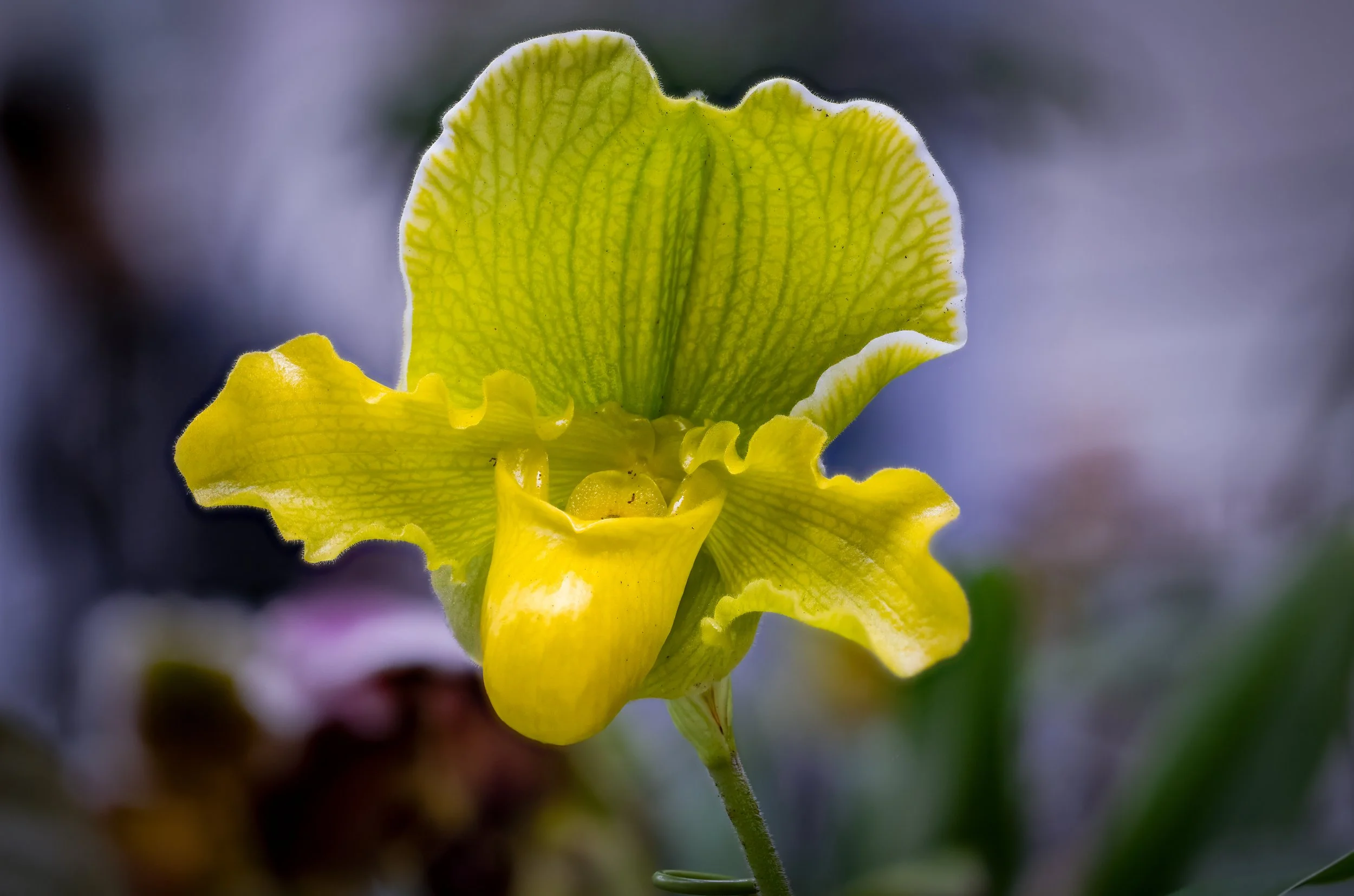 2024-01-30 14-43-21 (C,S6)-2.jpg