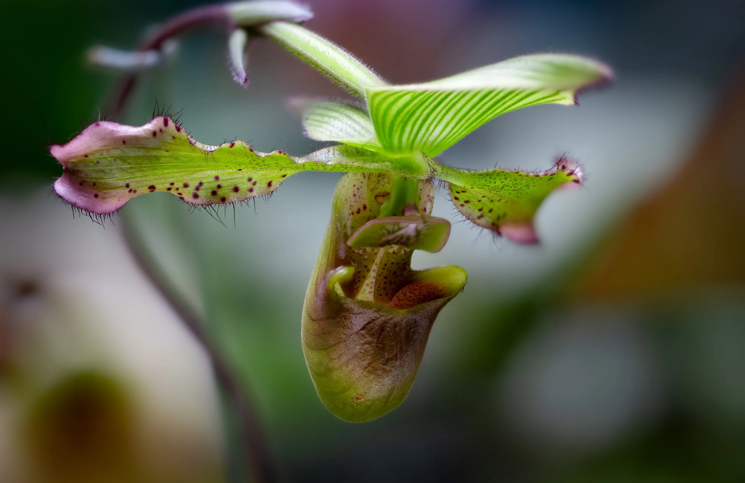 2024-01-30 15-20-16 (A,R27,S6)-2-2.jpg